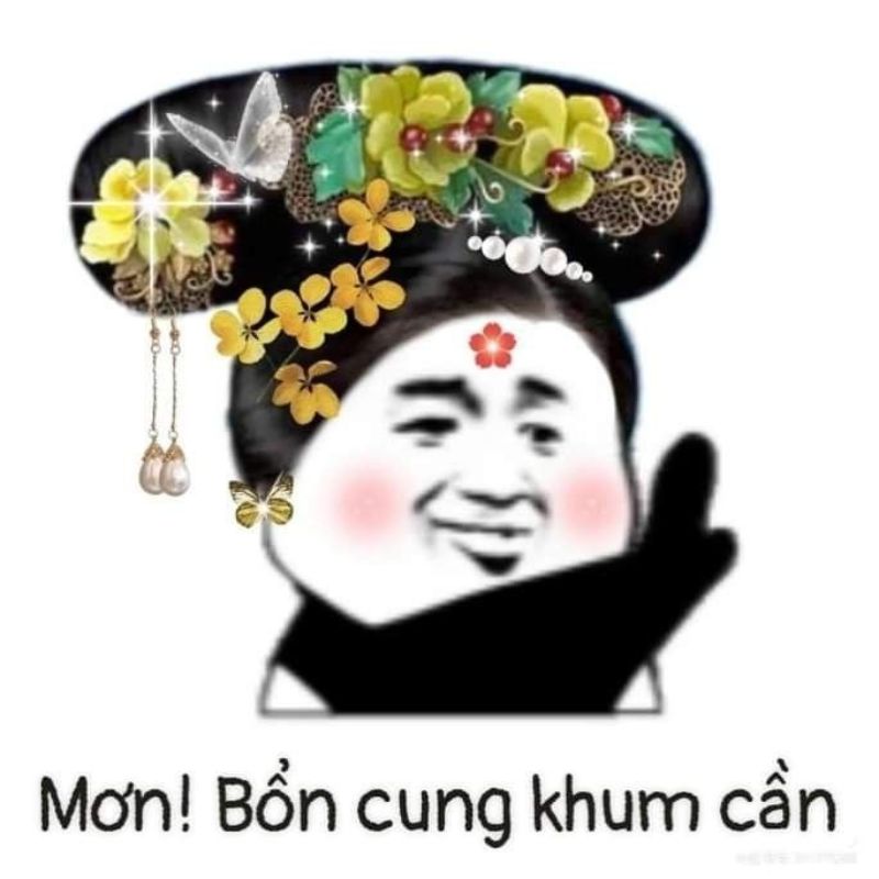 Ảnh meme từ chối nhận
