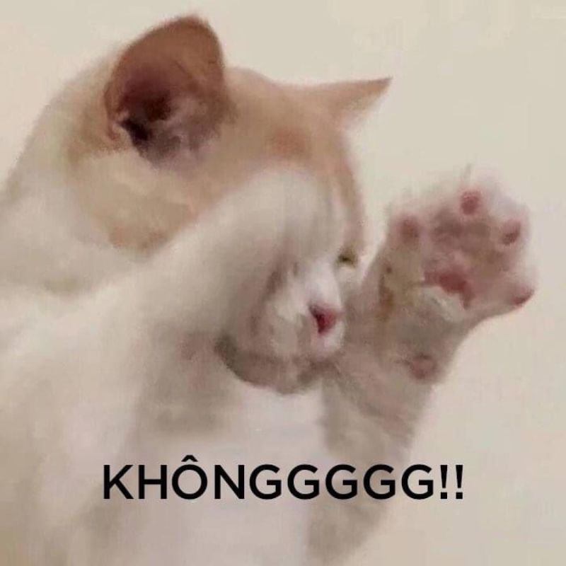 Meme từ chối không muốn