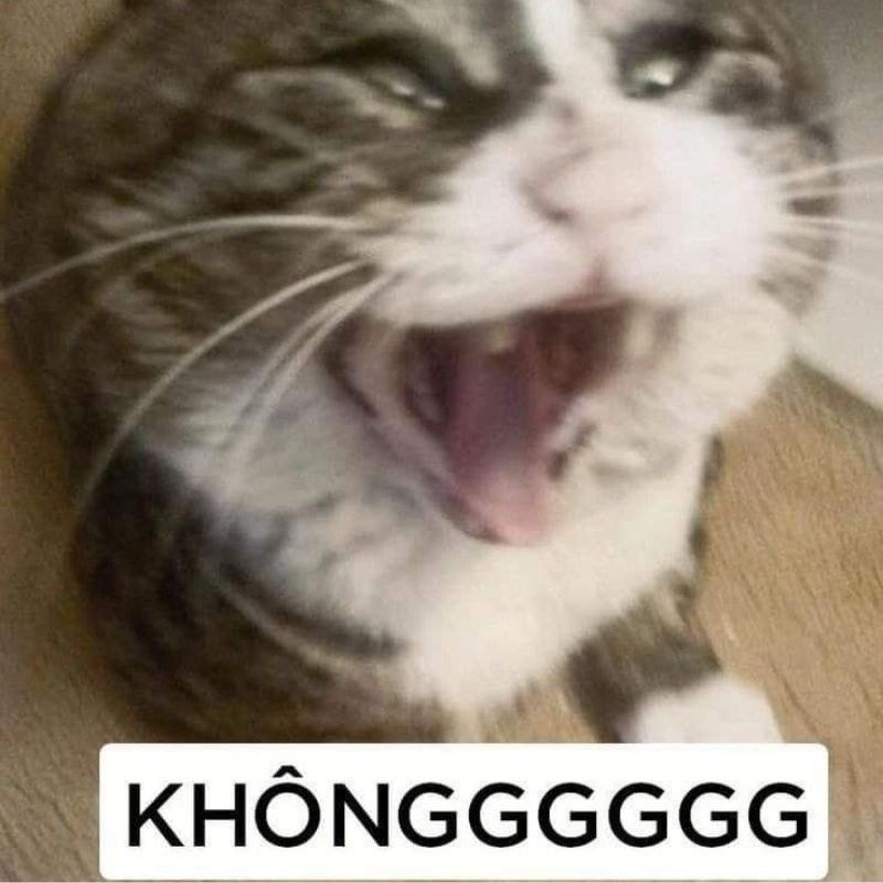Từ chối meme đỉnh cao của sự phũ phàng