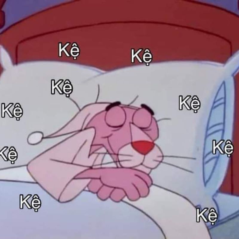 Meme từ chối mặc kệ