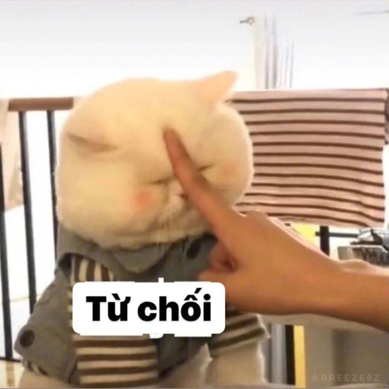 Ảnh meme từ chối lời mời đi chơi