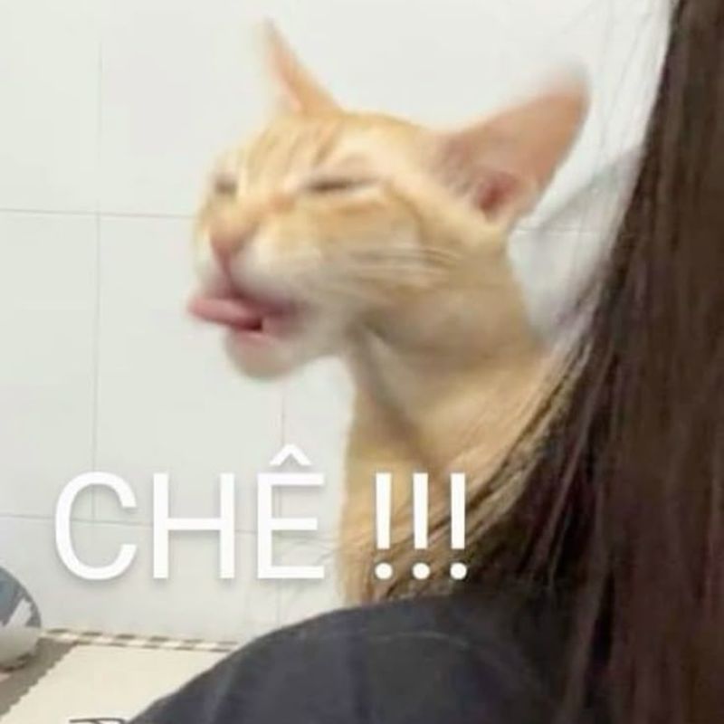 Meme thái độ từ chối
