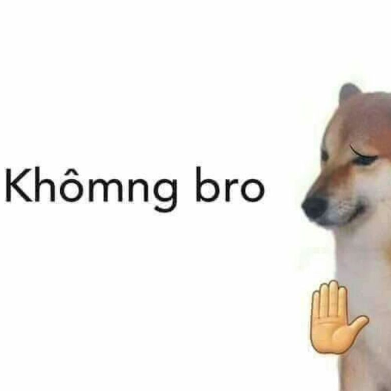 Meme xin từ chối