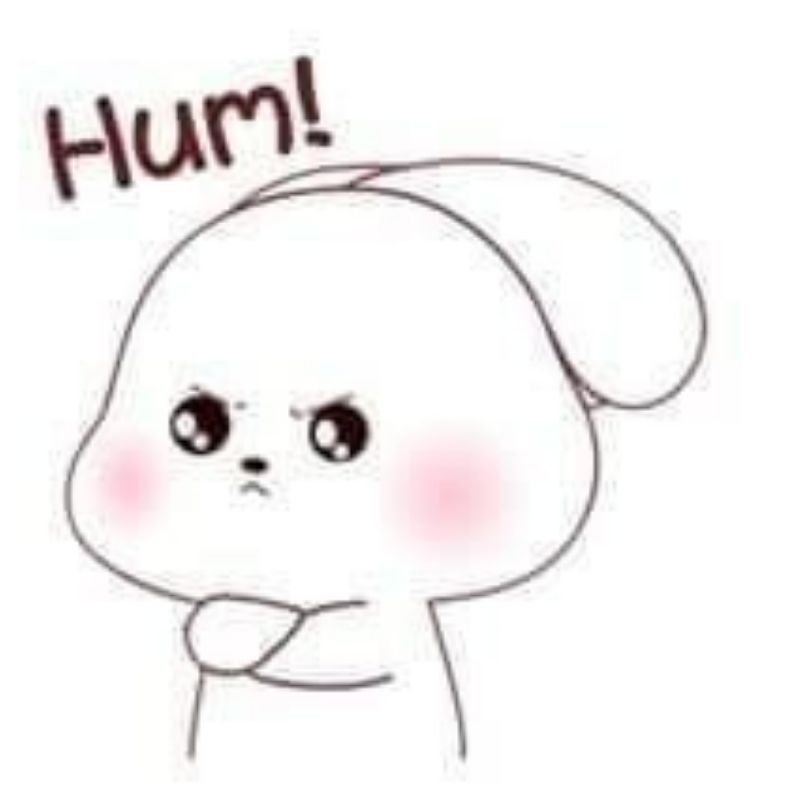 Thỏ tức giận meme cute