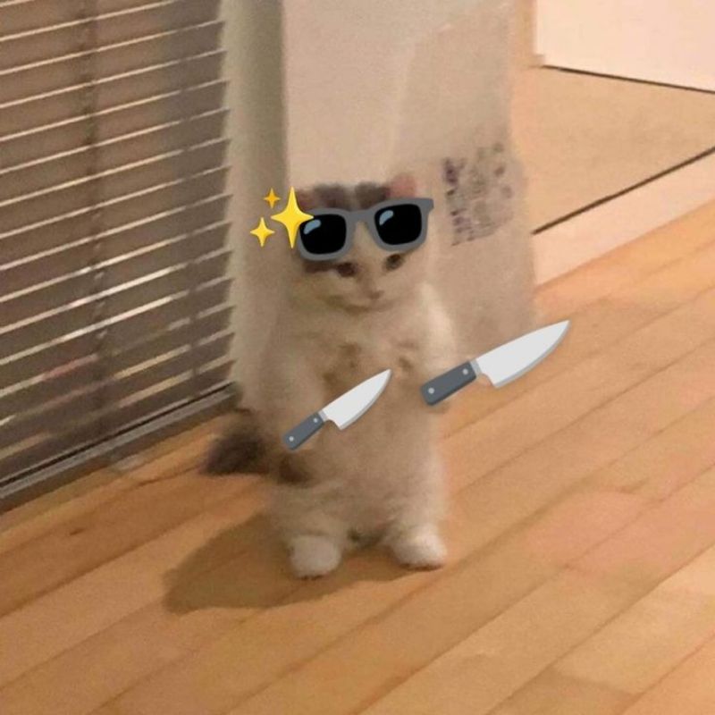 Ảnh meme cáu giận đáng yêu