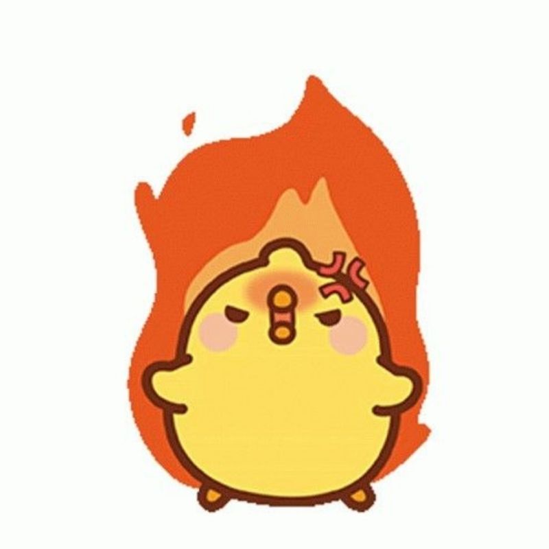Ảnh meme gà con tức giận