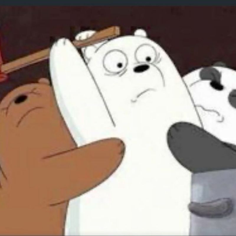 Meme gấu tức giận bùng nổ
