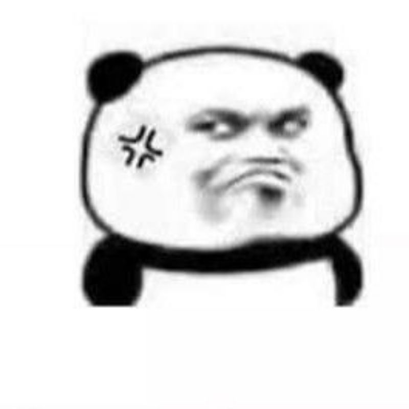 Meme gấu trúc tức giận thái độ