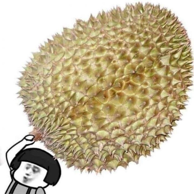 Tức giận meme trái sầu riêng