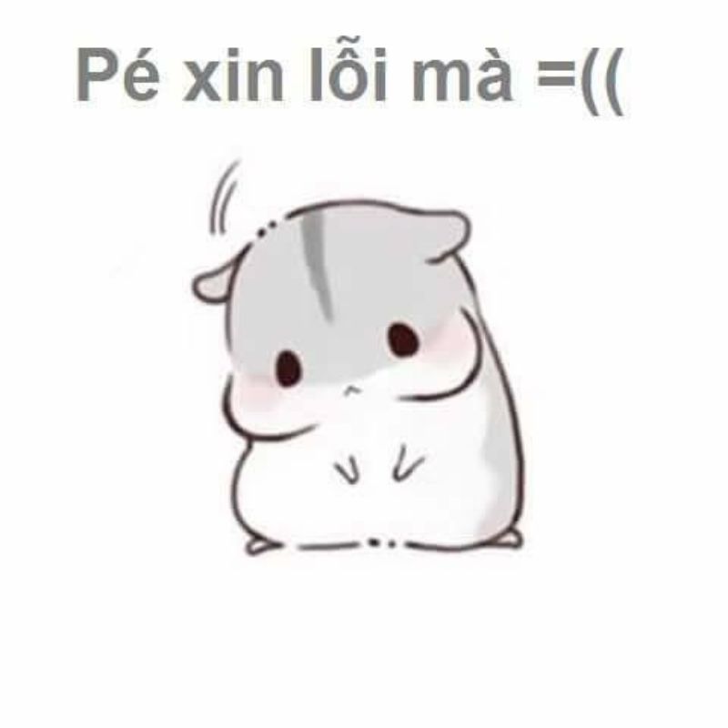 Bé chuột xin lỗi meme cute