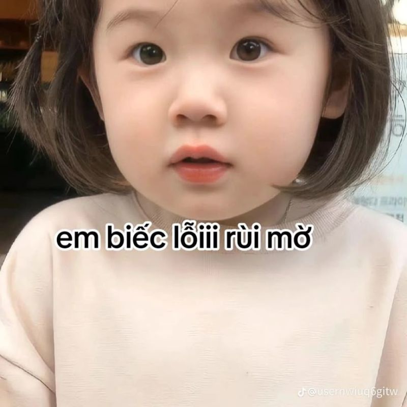 Ảnh meme bé xin lỗi