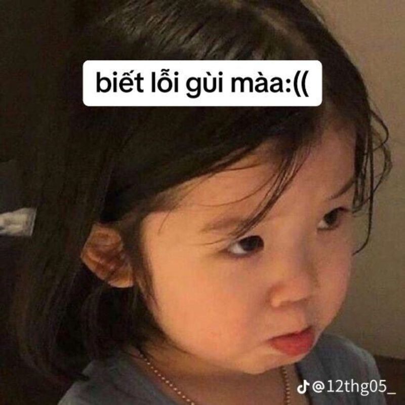 Meme bé gái cute xin lỗi