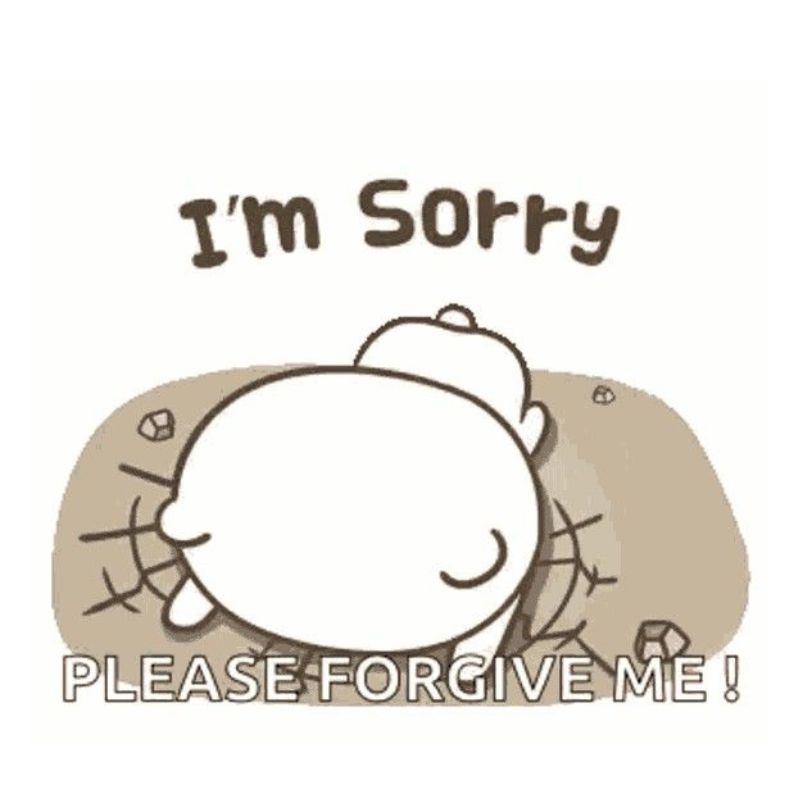 Lời xin lỗi chân thành meme