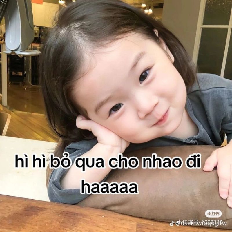 Meme xin lỗi dễ thương