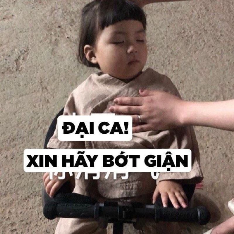 Xin bớt giận meme hài hước