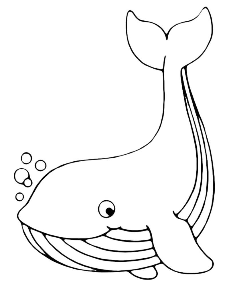 Tranh tô màu cá voi cute