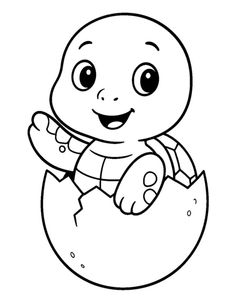 Hình tô màu con rùa con cute