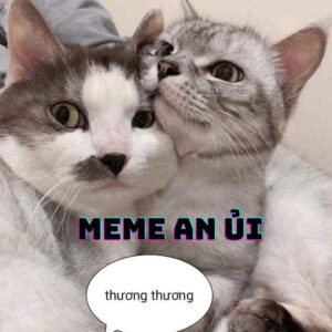 Ảnh Meme an ủi