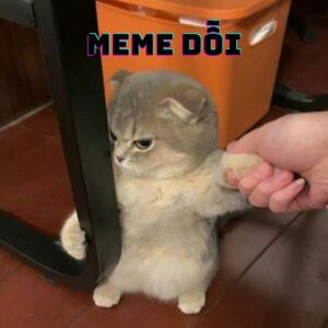 Meme dỗi