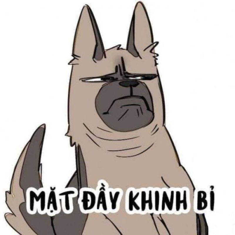 Vẻ mặt khinh bỉ meme hài hước