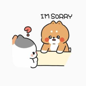 Meme xin lỗi